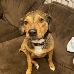 Meet your Posher, Justin